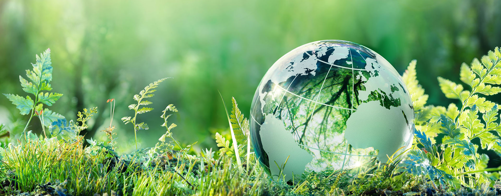 Suspensiv ität von FUJISTAR Schleif mitteln