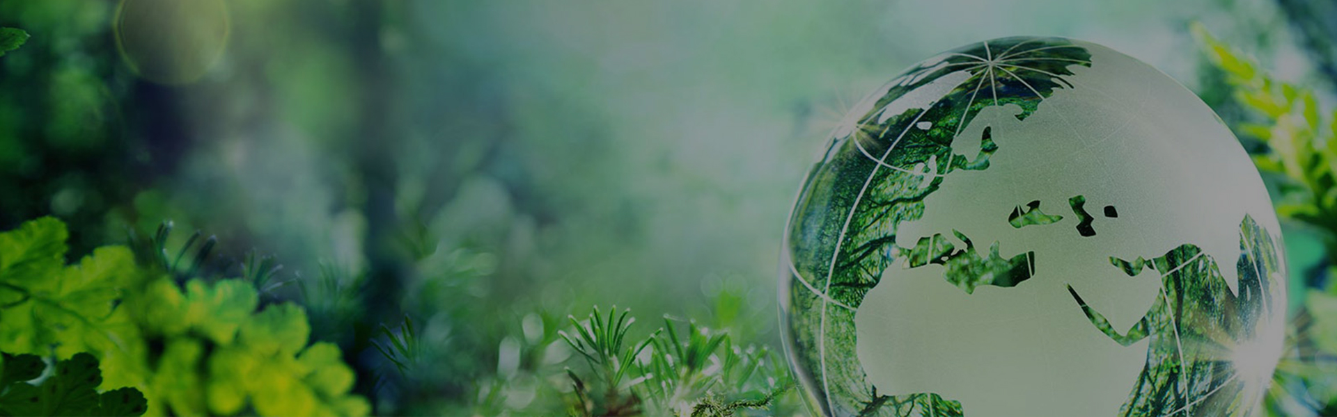 Nachhaltig keit von FUJISTAR Abrasives