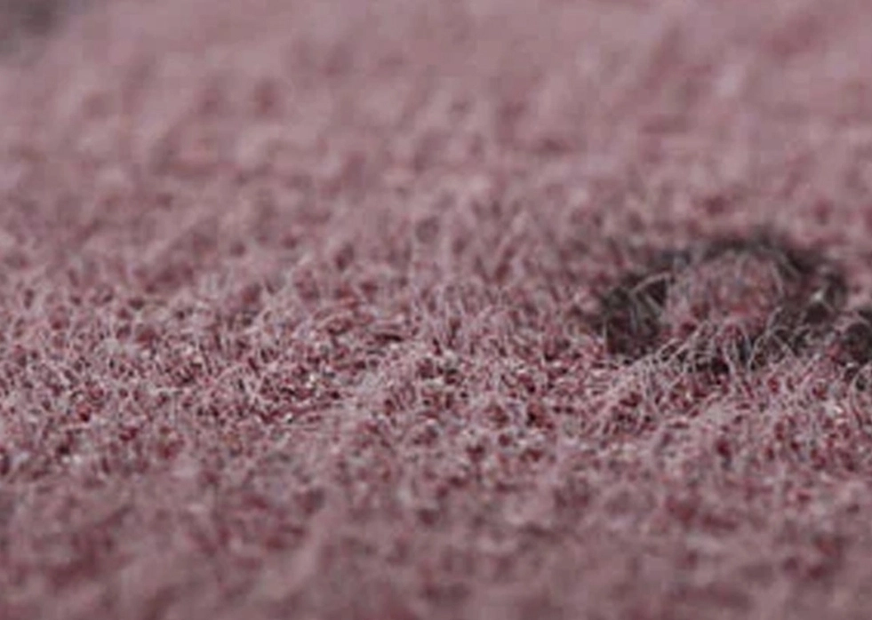 Warum sollten Sie sich für Schleif scheiben von FUJISTAR entscheiden?