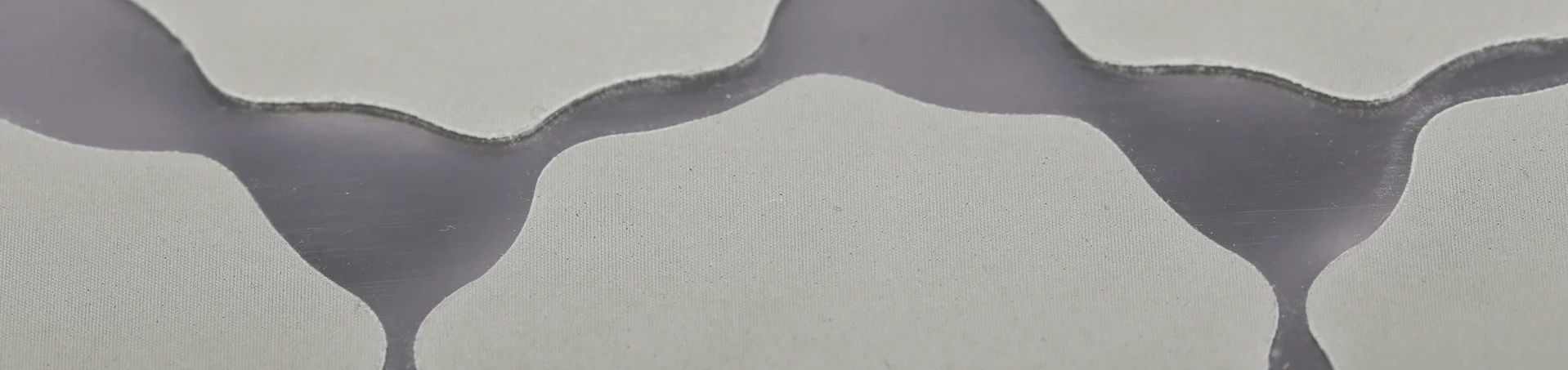 Gänseblümchen scheiben